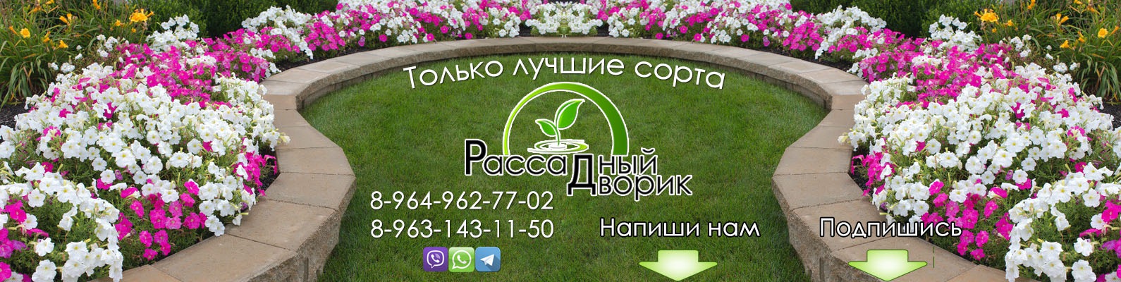 Цветы Башкирии Магазин Рассады И Саженцев Цветы Башкирии Магазин Рассады И Саженцев