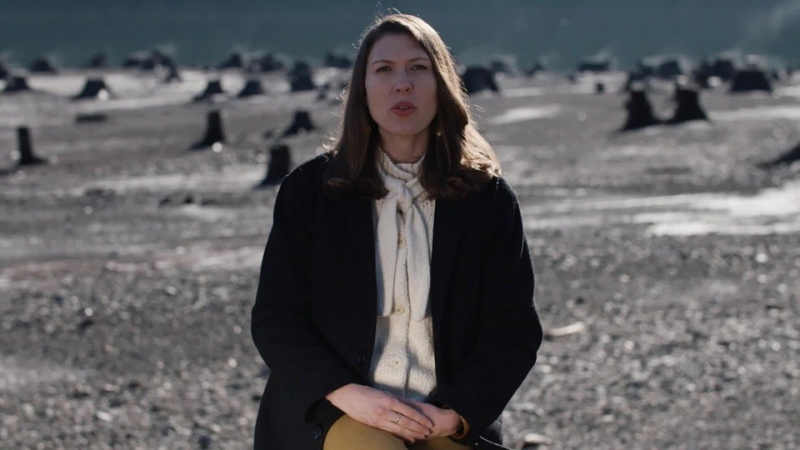Alela Diane Ether Wood ( Official