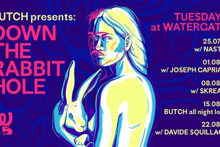 BUTCH Down The Rabbit Hole 9h DJ Mix