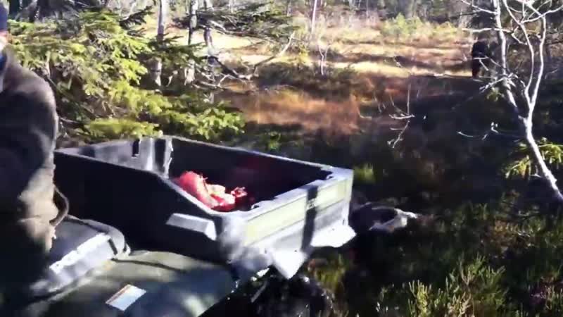 Elgtransport med Polaris 6