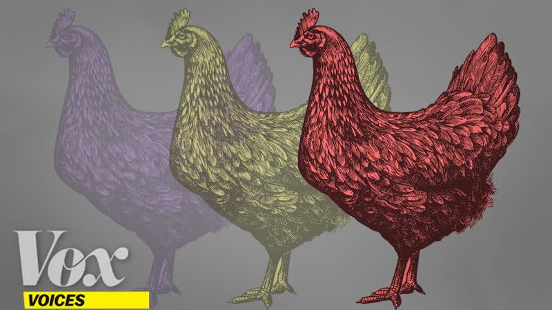Want to save animal lives without going veg Stop eating