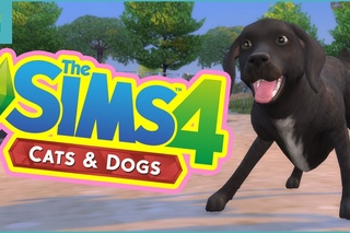 The Sims 4 Cats & Dogs Gameplay