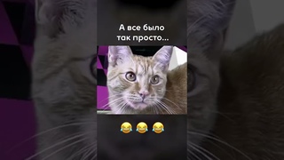 А все было так просто...😅