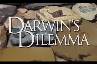 Why did the Cambrian explosion trouble Darwin?