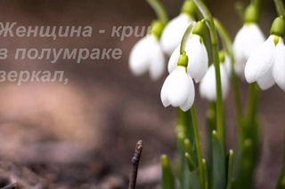 Женщине посвящается