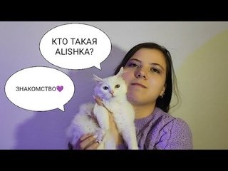 Кто такая Alishka? Знакомство💜 #блогер #spb #alishkatattoo #alishkablog #vlog #blog #cat #котик #lik