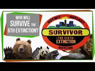 Who Will Survive The 6th Mass Extinction