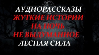 ЖУТКИЕ ИСТОРИИ НА НОЧЬ-ЛЕСНАЯ СИЛА