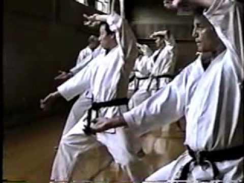 Sensei Nishiyama and Sensei