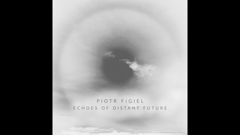 Piotr Figiel Echo IV Automatic Vacum Cleaners Union