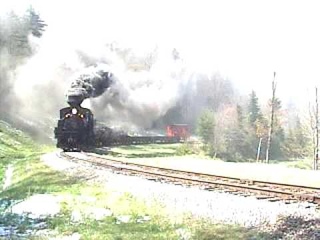 Shay 11 pulls a log train into Spruce (Crosby 3 chime at its best)