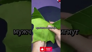 необычный ресторан