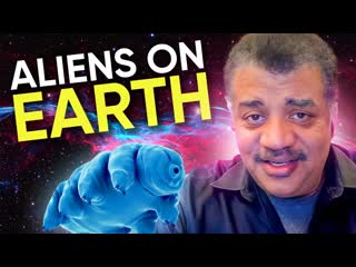 Alien Worlds and Extremophiles with Neil deGrasse Tyson & Kennda Lynch  Cosmic Queries