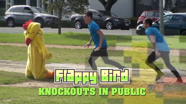 FLAPPY BIRD Killed in