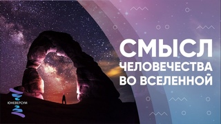 Смысл человечества во Вселенной. ЮНЕВЕРСУМ. Проект Вячеслава Юнева