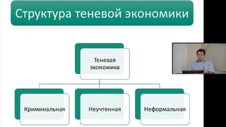 «Теневая экономика»  Костин Андрей Владимирович к.э.н., с.н.с., доцент, зам. декана ЭФ НГУ