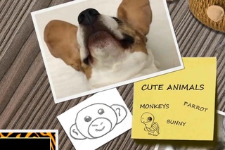 THIS will make you LAUGH ALL DAY - Funny FAILS & MOMENTS compilation