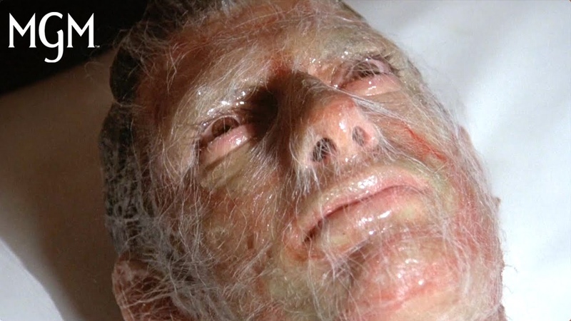 INVASION OF THE BODY SNATCHERS (1978), The Pod Person Wakes Up,
