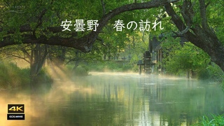 4K映像 ＋ 自然環境音ASMR　安曇野  春のෑ
