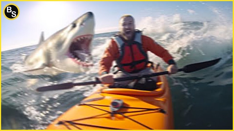 Scary Ocean Moments Caught on