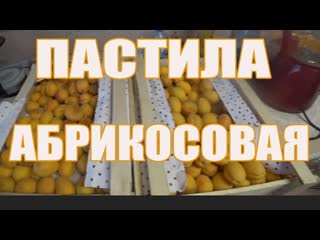 Пастила абрикосовая, живая, без добавления сахара, без варки ягод.