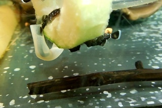 DSCN0148