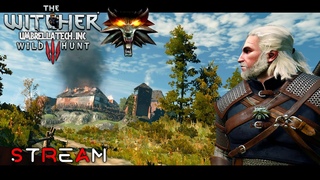 Шашлычок во Вроницах ➤ The Witcher 3: Wild Hunt | STREAM #17