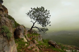 3 Hours of Beautiful Violin Guitar Flute Harp Cello Piano Music - Instrumental Music