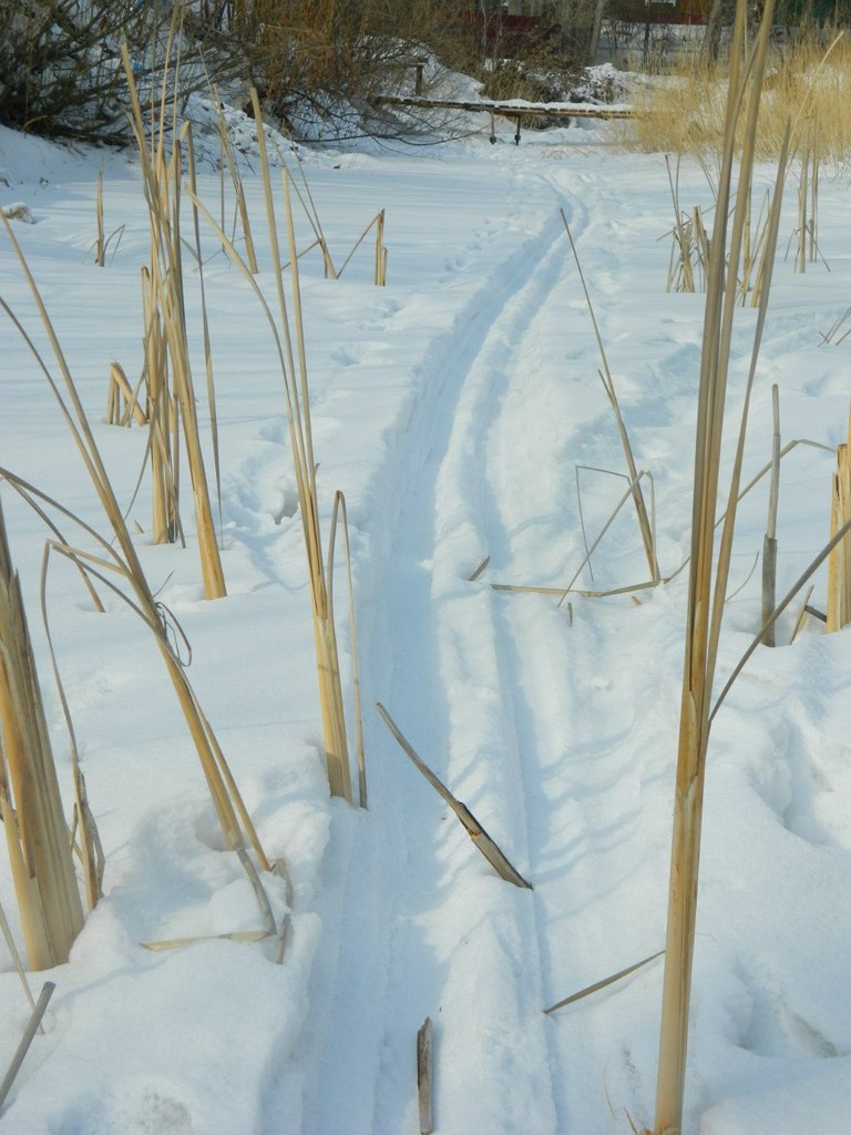 Диана Каспари | Новосибирск