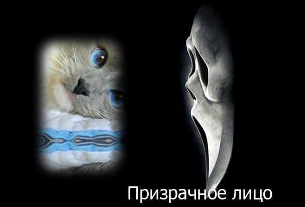 Софья Романовская | Санкт-Петербург