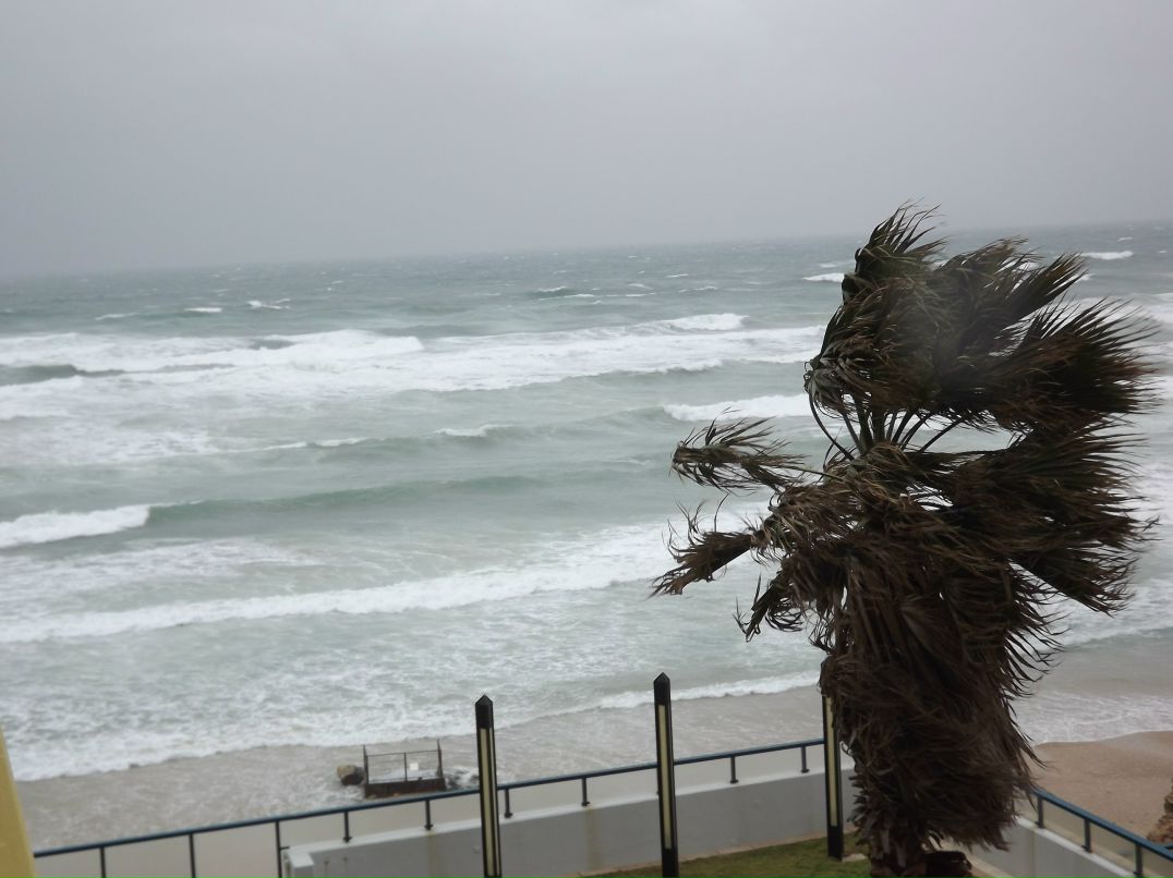 Ирина Бурова | Санкт-Петербург