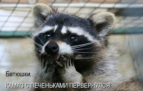 Дмитрий Павлий | Санкт-Петербург