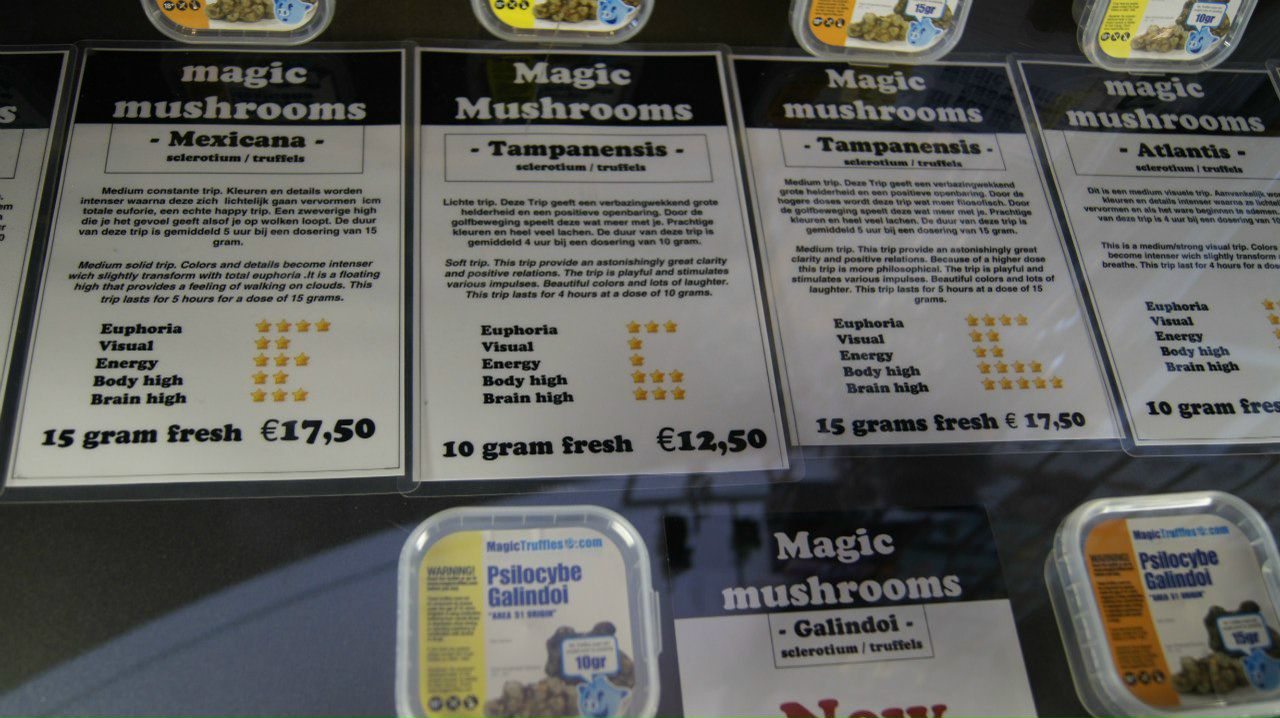 Олег Шапак | Санкт-Петербург