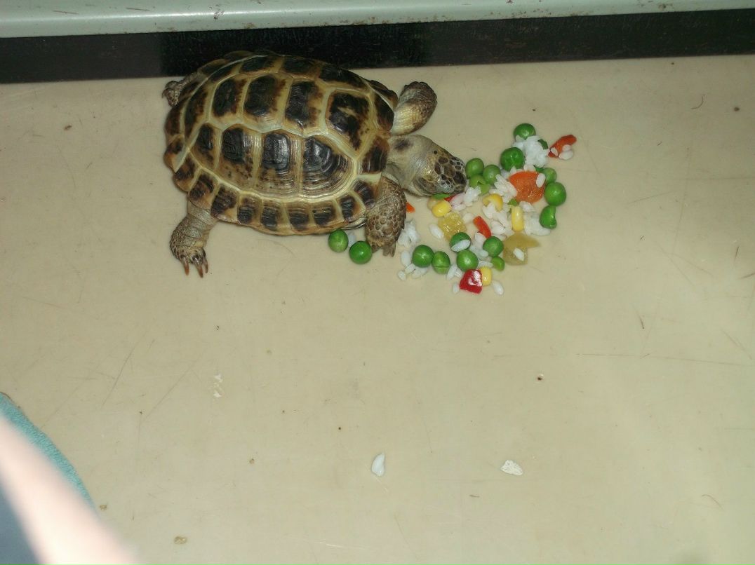 Анюта Балинова | Санкт-Петербург