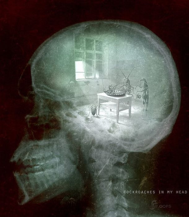 Мария Маркова | 