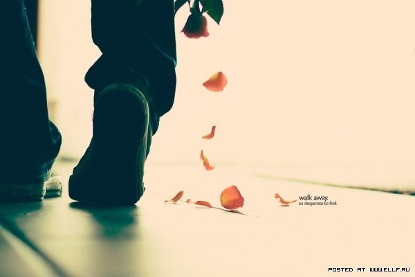 Feras abu gomsan | Винница