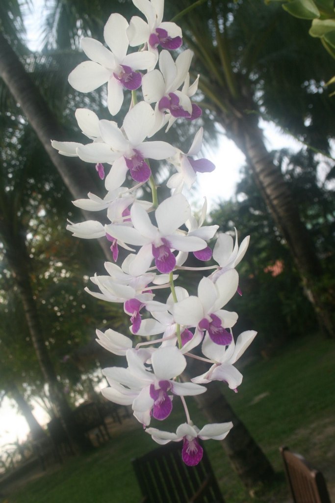 Денис Витман | Москва