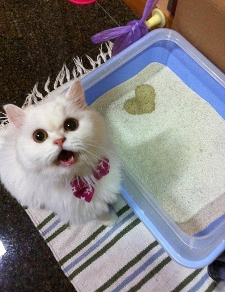 Ира Бадминова | Киев