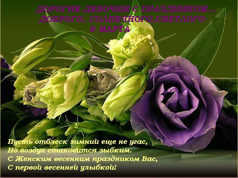 Валерия Мельситова | Санкт-Петербург