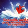 Аватар: Вика Коцарь