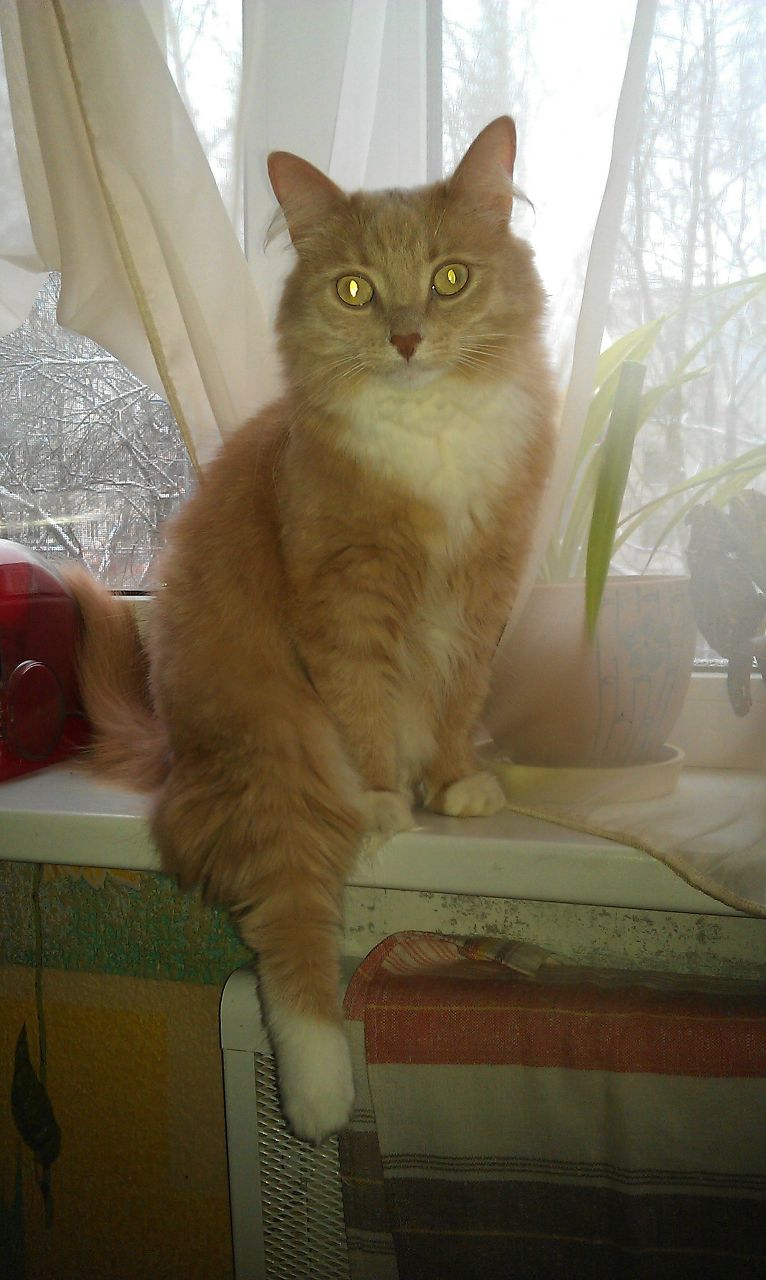 Мария Чагадар | Санкт-Петербург