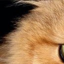 №14, Мария Косенко, Кривой Рог №14, Мария Косенко, Кривой Рог