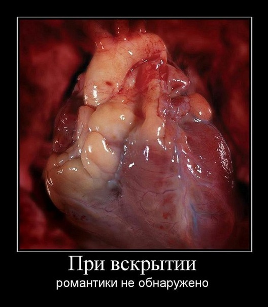 №190, Лилия Фомина, Москва №190, Лилия Фомина, Москва