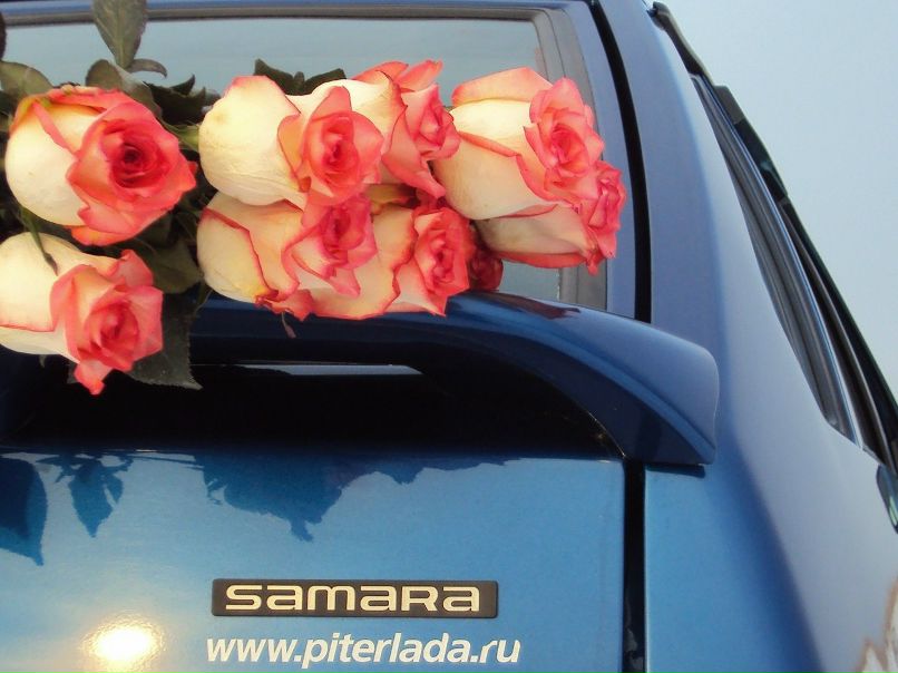 Дмитрий Дёмин | Бердск