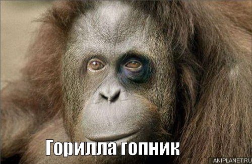 Вадим Рунец !Нибируанец! | Рига