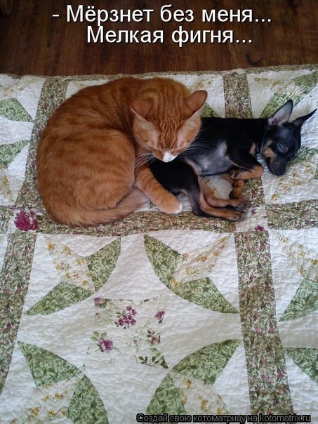 Андрей Козлов | Санкт-Петербург