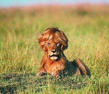 Юлия Лебедева | 