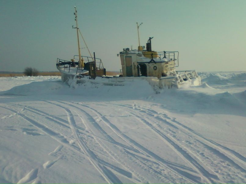 Владимир Мамаев | Ильинский