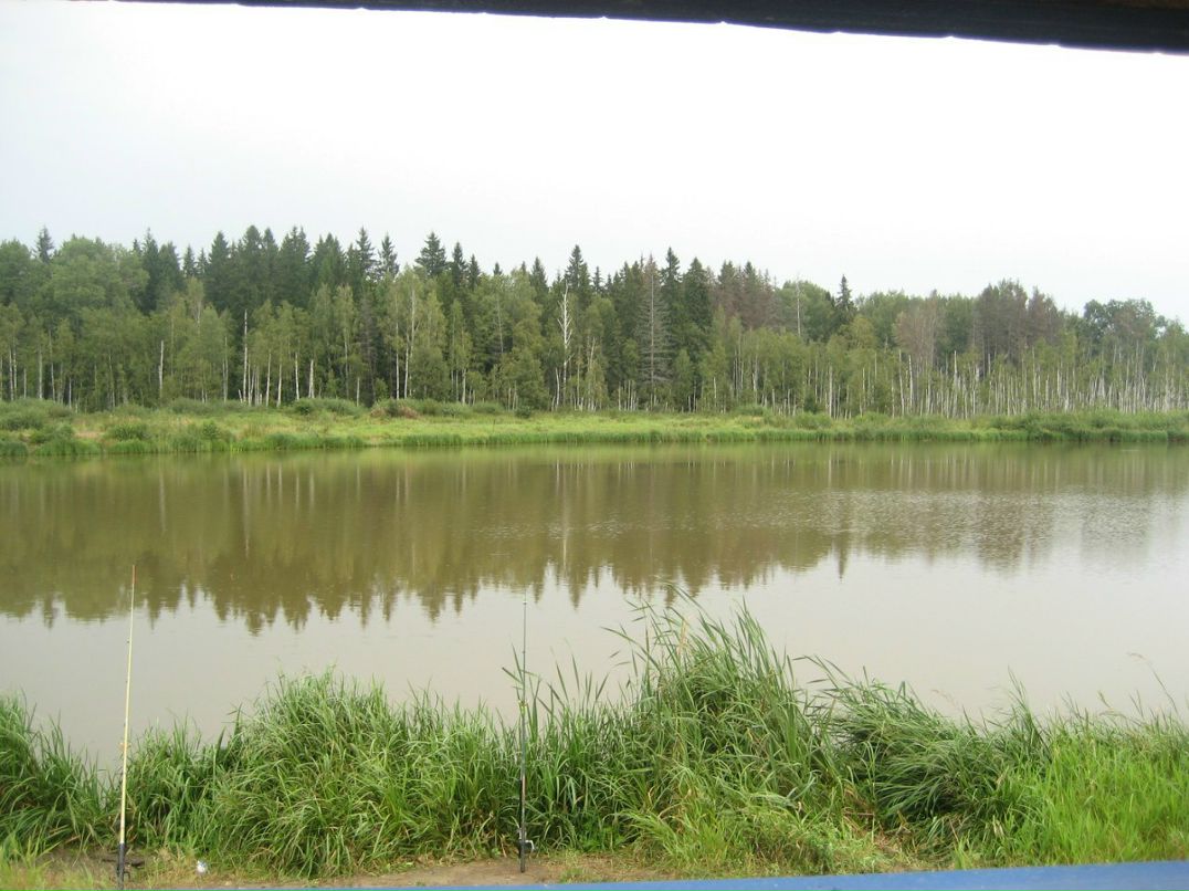 Александр Медведюк | Москва