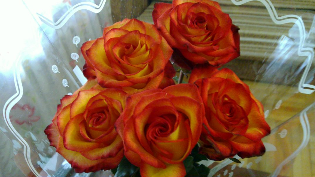 №110, Дашенька Кузнецова, Мурманск №110, Дашенька Кузнецова, Мурманск